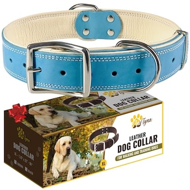 ADITYNA HeavyDuty Blue Leather Dog Collar for ExtraLarge Dogs Soft Padded for Comfort XL Dog Collar for Walking Training and Hiking