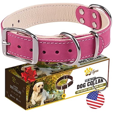 ADITYNA HeavyDuty Pink Leather Dog Collar for Medium Dogs Lined with Soft Leather Girl Dog Collar for Walking Training and Hiking