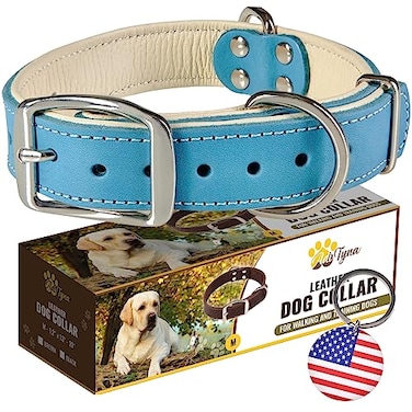 ADITYNA HeavyDuty Leather Dog Collar for Medium Dogs Soft Padded for Comfort Blue Dog Collar for Walking Training and Hiking