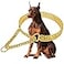 KINGOLDOGS Gold Dog Chain Collar Stainless Steel 18K Gold Collar Adjustable Walking Metal Cuban Link Chew Proof Double Row Chain for Large Small Medium Dogs