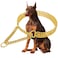 KINGOLDOGS Gold Dog Chain Collar Stainless Steel 18K Gold Collar Adjustable Walking Metal Cuban Link Chew Proof Double Row Chain for Large Small Medium Dogs