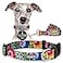 Lucky Love Dog Easy Click Buckle Dog Collar with Leash Set Combo Durable Comfortable for Male Female Dogs Pet Collar for Medium Dogs Secure Fit Blackbird Combo Medium