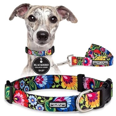 Lucky Love Dog Easy Click Buckle Dog Collar with Leash Set Combo Durable Comfortable for Male Female Dogs Pet Collar for Medium Dogs Secure Fit Blackbird Combo Medium