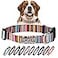 Lucky Love Dog Collar Beautiful Vivid Patterns Rainbow Dog Collar for XLarge Dogs Easy On Off Clasp Accessory Hippie XL