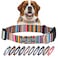 Lucky Love Dog Collar Beautiful Vivid Patterns Rainbow Dog Collar for XLarge Dogs Easy On Off Clasp Accessory Hippie XL