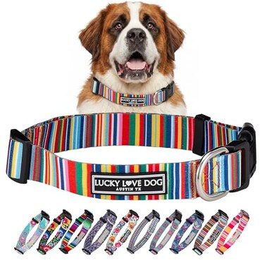 Lucky Love Dog Collar Beautiful Vivid Patterns Rainbow Dog Collar for XLarge Dogs Easy On Off Clasp Accessory Hippie XL