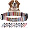 Lucky Love Dog Collar Beautiful Vivid Patterns Rainbow Dog Collar for XLarge Dogs Easy On Off Clasp Accessory Hippie XL