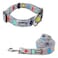 Lucky Love Dog Adjustable Fun Style Collar and Leash Set for Dogs Bright Color Matching Dog Collar and Leash Large SOCO Combo