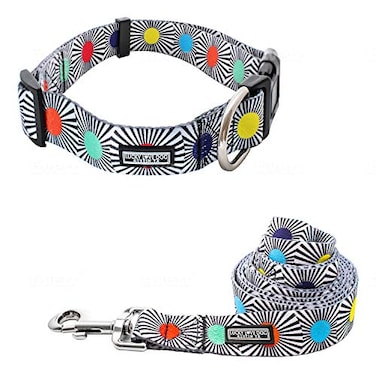 Lucky Love Dog Adjustable Fun Style Collar and Leash Set for Dogs Bright Color Matching Dog Collar and Leash Large SOCO Combo