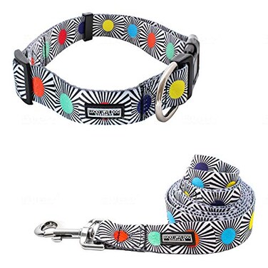 Lucky Love Dog Adjustable Fun Style Collar and Leash Set for Dogs Bright Color Matching Dog Collar and Leash Medium SOCO Combo