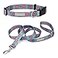 Lucky Love Dog Boho Chic Matching Dog Collar and Leash Set Vivid Pink and Turquoise Collar and Leash for Dogs Soft Adjustable Safe for Training and Walking Medium Clara Combo