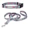 Lucky Love Dog Boho Chic Matching Dog Collar and Leash Set Vivid Pink and Turquoise Collar and Leash for Dogs Soft Adjustable Safe for Training and Walking Medium Clara Combo