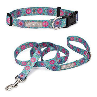 Lucky Love Dog Boho Chic Matching Dog Collar and Leash Set Vivid Pink and Turquoise Collar and Leash for Dogs Soft Adjustable Safe for Training and Walking Medium Clara Combo