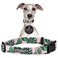 Lucky Love Dog Collars Girl boy Dog Collar for Small Medium Large Dogs Comfortable Soft Cute Laguna Medium