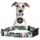 Lucky Love Dog Collars Girl boy Dog Collar for Small Medium Large Dogs Comfortable Soft Cute Laguna Medium