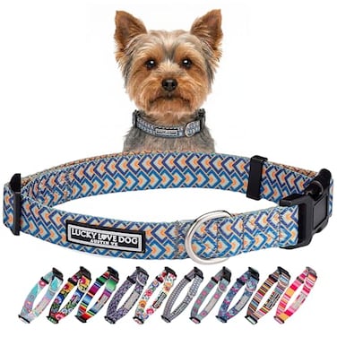 Lucky Love Dog Collars Comfortable Soft Cute Dog Collar for Small Dogs Murphy XSmall