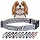 Lucky Love Dog Collars Comfortable Soft Cute Dog Collar for SmallDogs Murphy Small