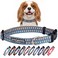 Lucky Love Dog Collars Comfortable Soft Cute Dog Collar for SmallDogs Murphy Small