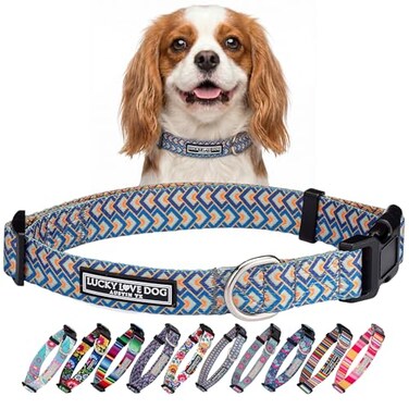 Lucky Love Dog Collars Comfortable Soft Cute Dog Collar for SmallDogs Murphy Small