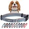 Lucky Love Dog Collars Comfortable Soft Cute Dog Collar for SmallDogs Murphy Small