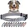 Lucky Love Dog Collars Comfortable Soft Cute Dog Collar for Medium Dogs Murphy Medium