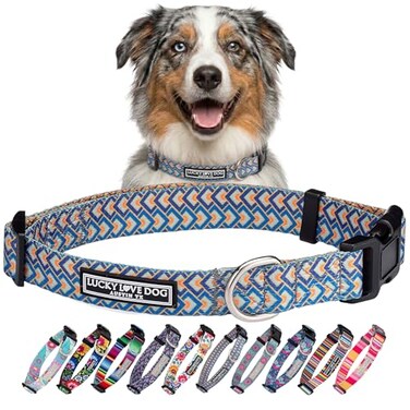 Lucky Love Dog Collars Comfortable Soft Cute Dog Collar for Medium Dogs Murphy Medium