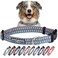 Lucky Love Dog Collars Comfortable Soft Cute Dog Collar for Medium Dogs Murphy Medium