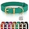 BRONZEDOG Leather Dog Collar with Metal Buckle Durable Basic Pet Collars for Small Medium Large Dogs 1417 Inch Pack of 1 Green Gold Buckle