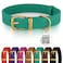 BRONZEDOG Leather Dog Collar with Metal Buckle Durable Basic Pet Collars for Small Medium Large Dogs 1417 Inch Pack of 1 Green Gold Buckle