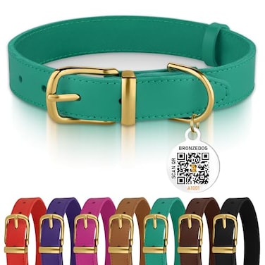 BRONZEDOG Leather Dog Collar with Metal Buckle Durable Basic Pet Collars for Small Medium Large Dogs 1417 Inch Pack of 1 Green Gold Buckle