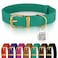 BRONZEDOG Leather Dog Collar with Metal Buckle Durable Basic Pet Collars for Small Medium Large Dogs 1417 Inch Pack of 1 Green Gold Buckle