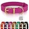 BRONZEDOG Leather Dog Collar with Metal Buckle Durable Basic Pet Collars for Small Medium Large Dogs 1921 Inch Pack of 1 Pink Gold Buckle