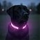 Tractive LED Light Up Dog Collar USB Rechargeable Waterproof Pink