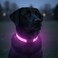 Tractive LED Light Up Dog Collar USB Rechargeable Waterproof Pink