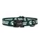 ShopInstaPets Michigan State Spartans Collars and Leashes Officially Licensed AdjustableFits All Pets Small Collar