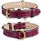 DowgClub Genuine Leather Dog Collar Full Grain Heavy Duty Comfortable Padded Strong Best for Pups Small Medium Large XL Breeds Small Fit Neck Size 115145 Dark Pink