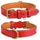 DowgClub Genuine Leather Dog Collar Full Grain Heavy Duty Comfortable Padded Strong Best for Pups Small Medium Large XL Breeds Small Fit Neck Size 115145 Red
