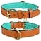 DowgClub Genuine Leather Dog Collar Full Grain Heavy Duty Comfortable Padded Strong Best for Pups Small Medium Large XL Breeds Small Fit Neck Size 115145 Tan