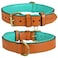 DowgClub Genuine Leather Dog Collar Full Grain Heavy Duty Comfortable Padded Strong Best for Pups Small Medium Large XL Breeds Small Fit Neck Size 115145 Tan