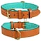 DowgClub Genuine Leather Dog Collar Full Grain Heavy Duty Comfortable Padded Strong Best for Pups Small Medium Large XL Breeds Small Fit Neck Size 115145 Tan