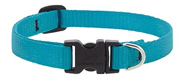LupinePet Lupine Small Dog Collar 12 Wide Aqua adjusts 1016 Long