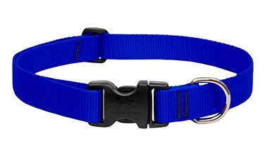 LupinePet Basics 1 Blue 1220 Adjustable Collar for Medium and Larger Dogs