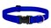 LupinePet Basics 1 Blue 1220 Adjustable Collar for Medium and Larger Dogs