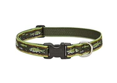 LupinePet Originals 1 Brook Trout 1628 Adjustable Collar for Large Dogs