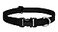 LupinePet Basics 1 Black 1628 Adjustable Collar for Large Dogs