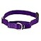 PetSafe Martingale Dog Collar with QuickSnap Buckle Large 1 Inch Deep Purple