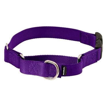 PetSafe Martingale Dog Collar with QuickSnap Buckle Large 1 Inch Deep Purple