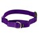 PetSafe Martingale Dog Collar with QuickSnap Buckle Large 1 Inch Deep Purple