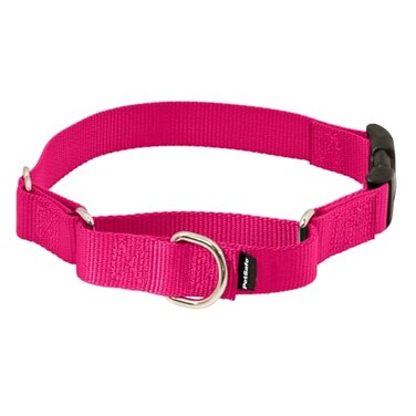 PetSafe Martingale Dog Collar with QuickSnap Buckle Petite 38 Inch Raspberry
