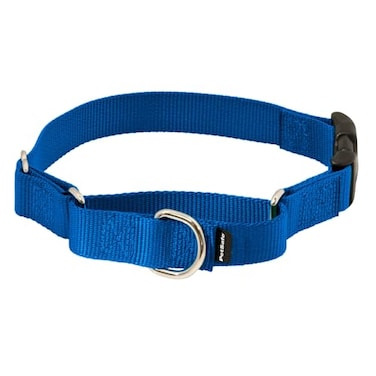 PetSafe Martingale Dog Collar with QuickSnap Buckle Large 1 Inch Royal Blue